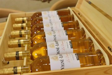 紅酒加盟需要多少錢(qián)